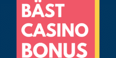 Casino Bonus