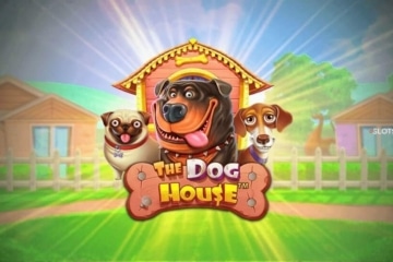 The Dog House